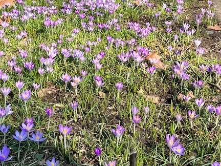 23-02-13 12-49-01 4185